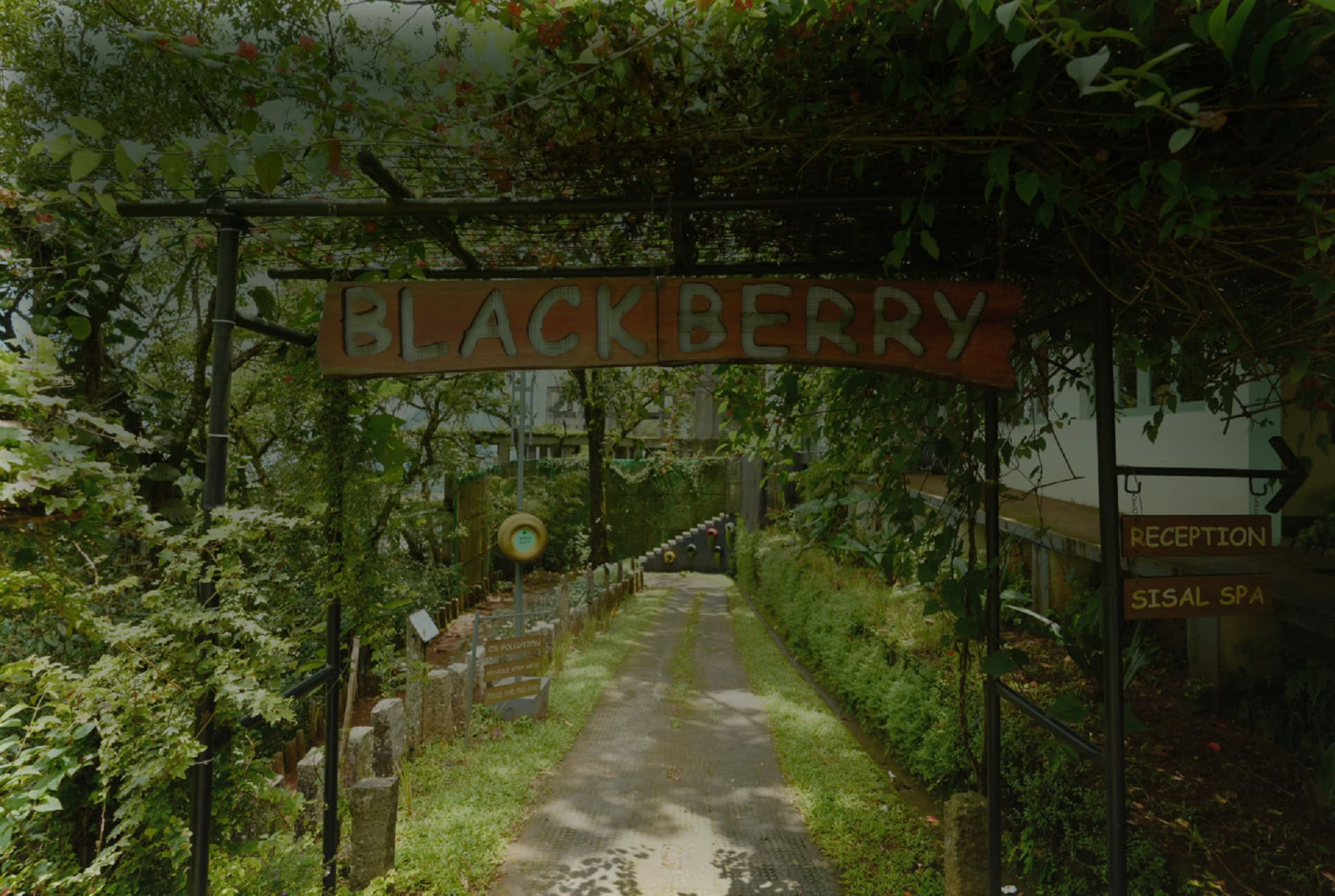 Blackberry Hills Munnar nature resort estate
