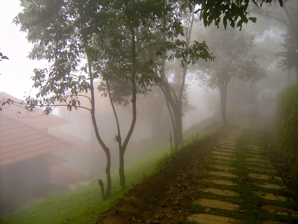 blackberry resort in snow fall time in Munnar