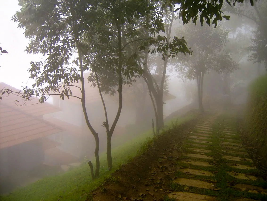 blackberry resort in snow  fall time in Munnar