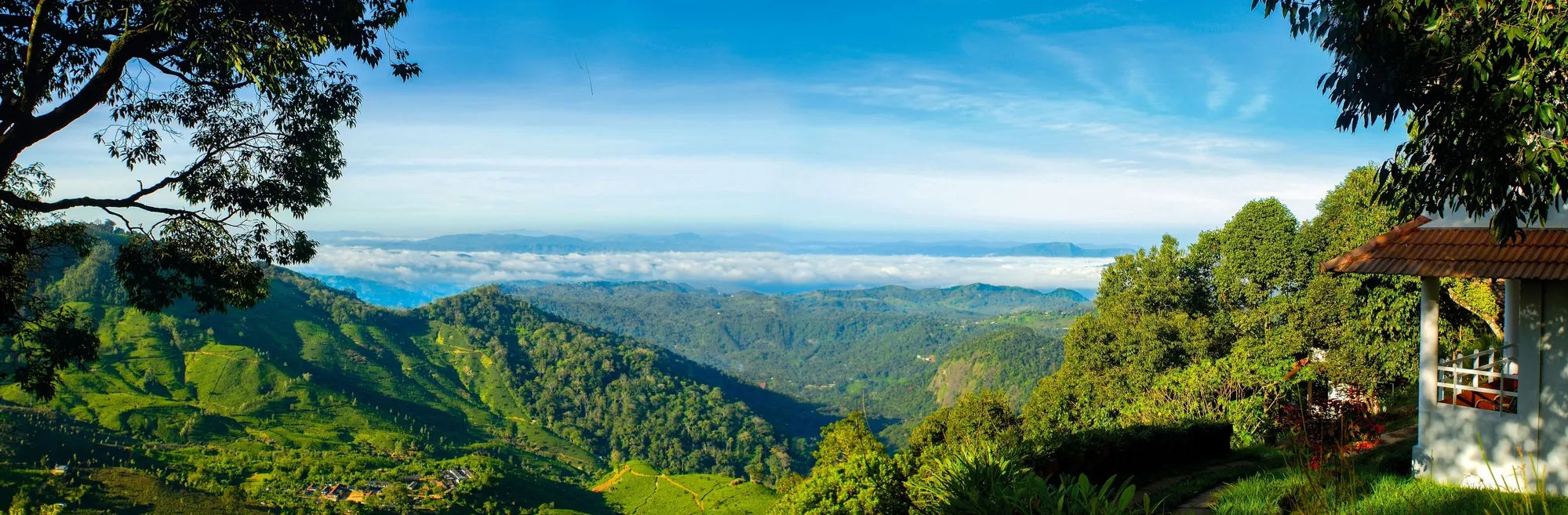 blackberry hills nature resort Munnar hills view