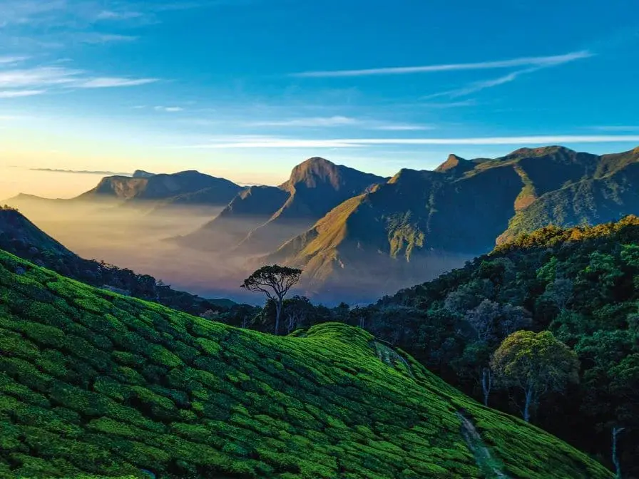 Best- Place to visit in Munnar