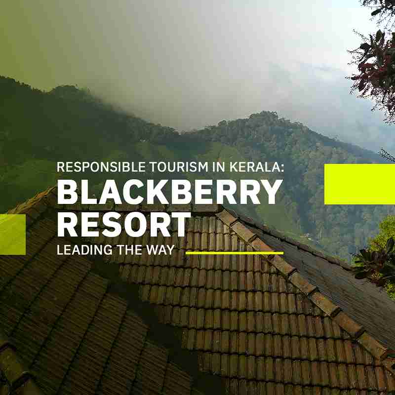 Responsible Tourism in Kerala: Blackberry Resort Leading the Way