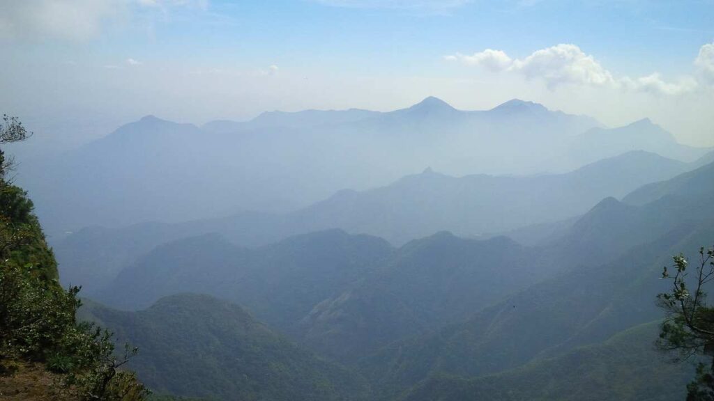 Misty Mountains in Munnar