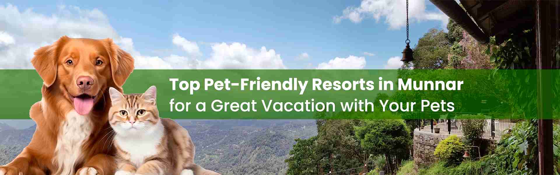 Best Pet-Friendly Resorts in Munnar