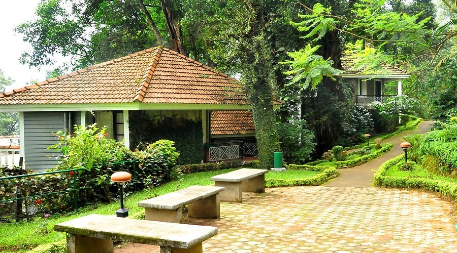 cottages among the tall