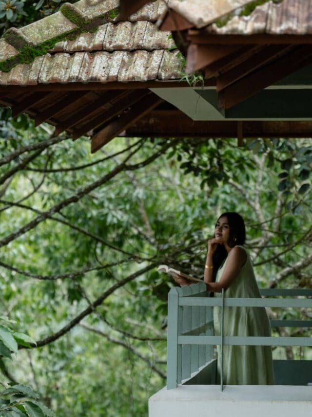 resort with best view in munnar