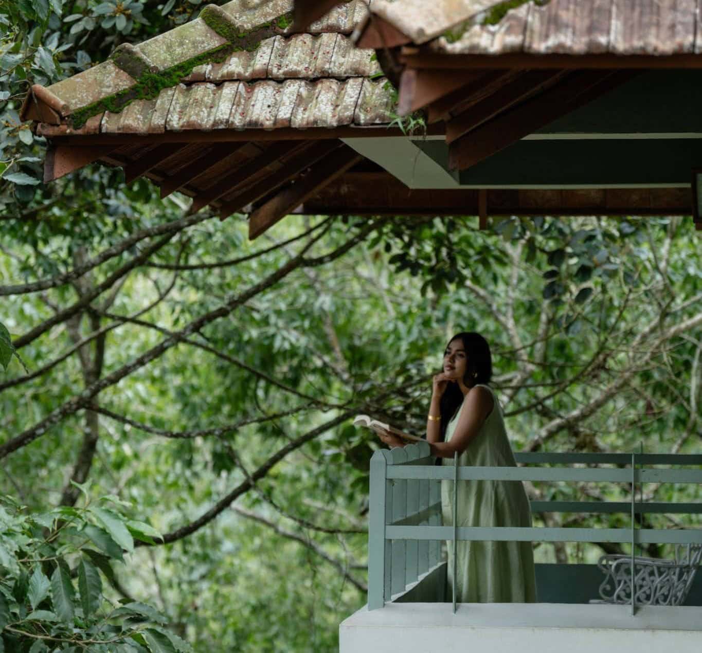 best resorts in munnar blackberry hills