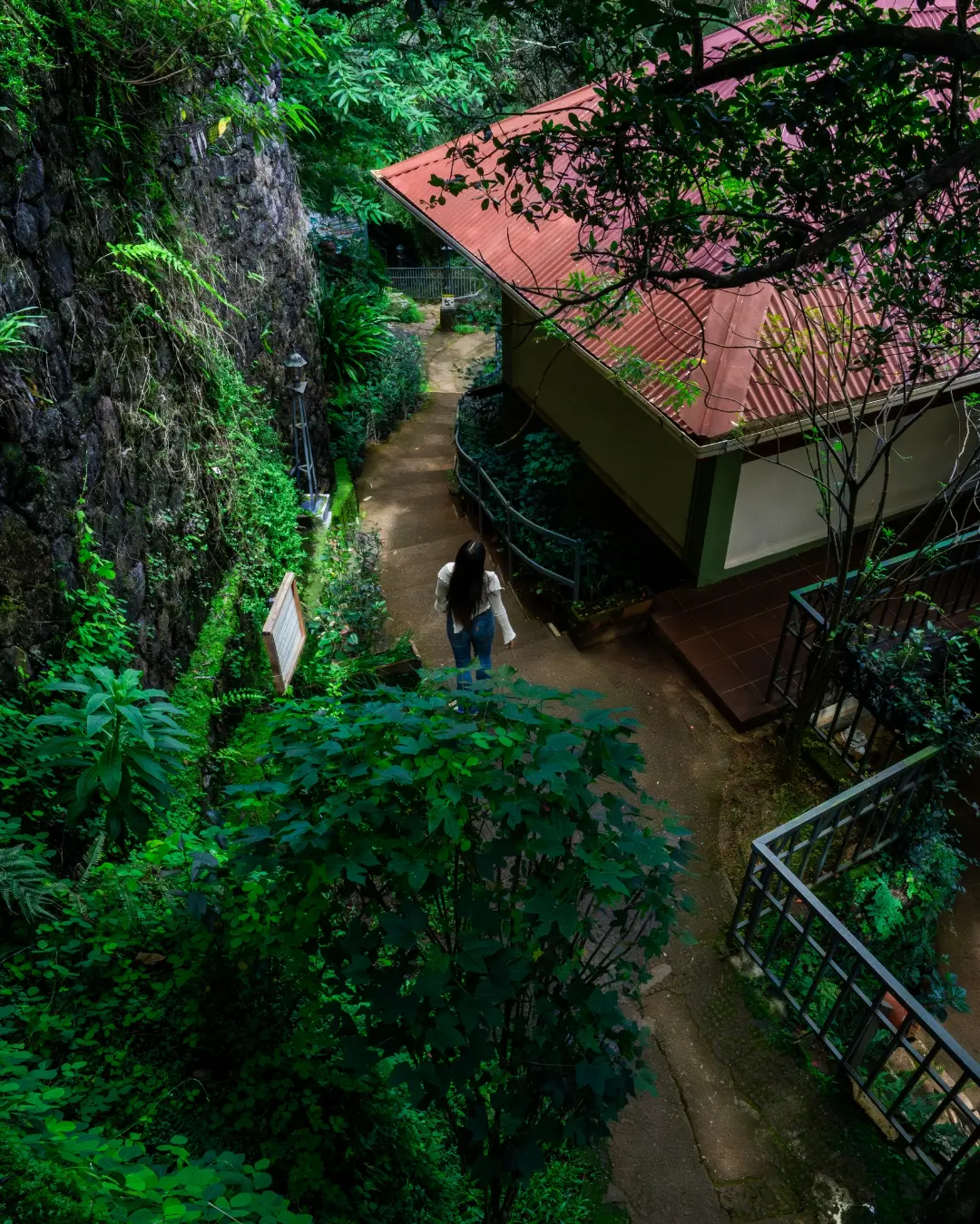Winding pathway leading through cottages at Blackberry Hills Munnar