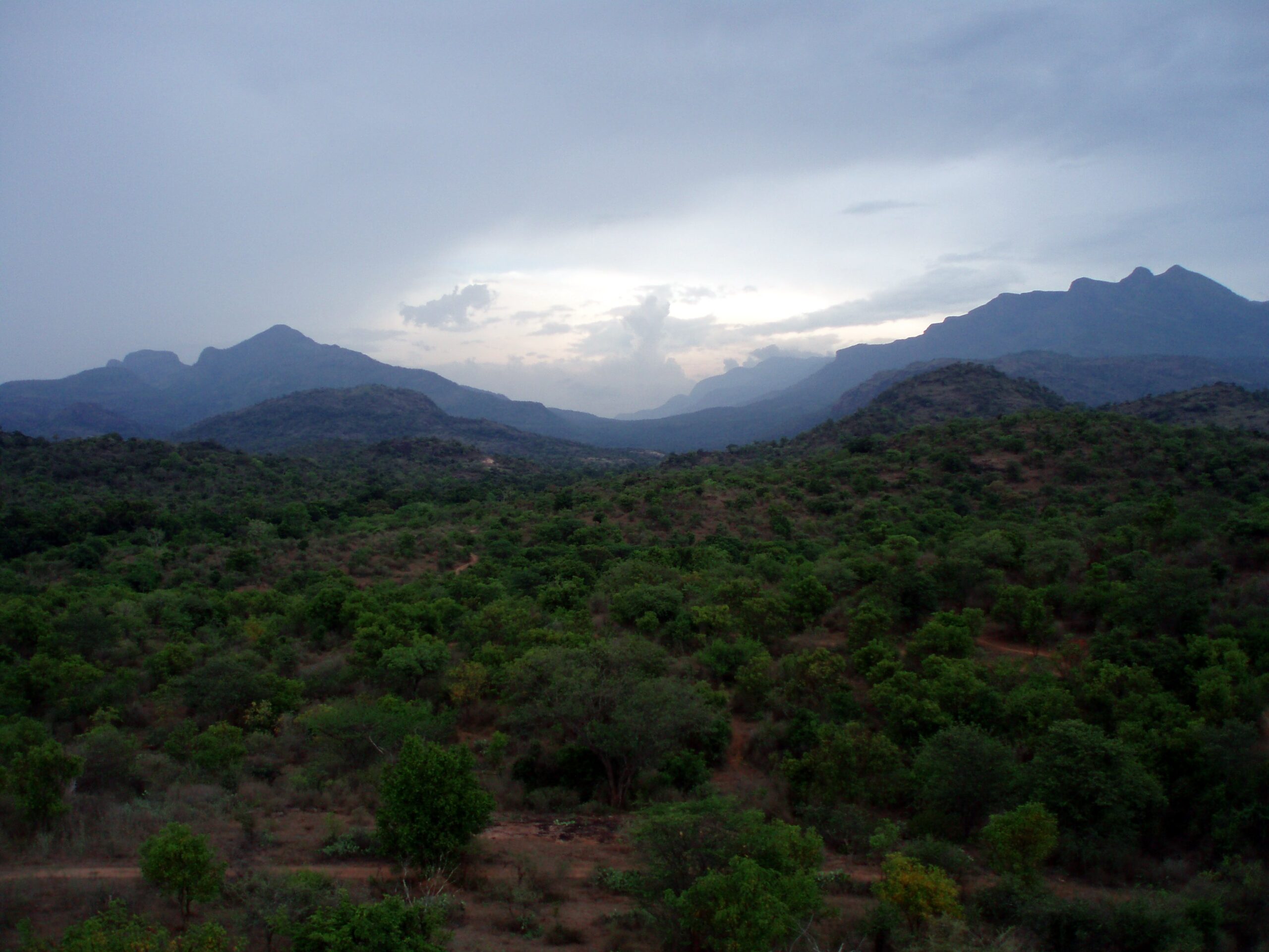 Chinnar Wildlife Sanctuary landscape in Kerala