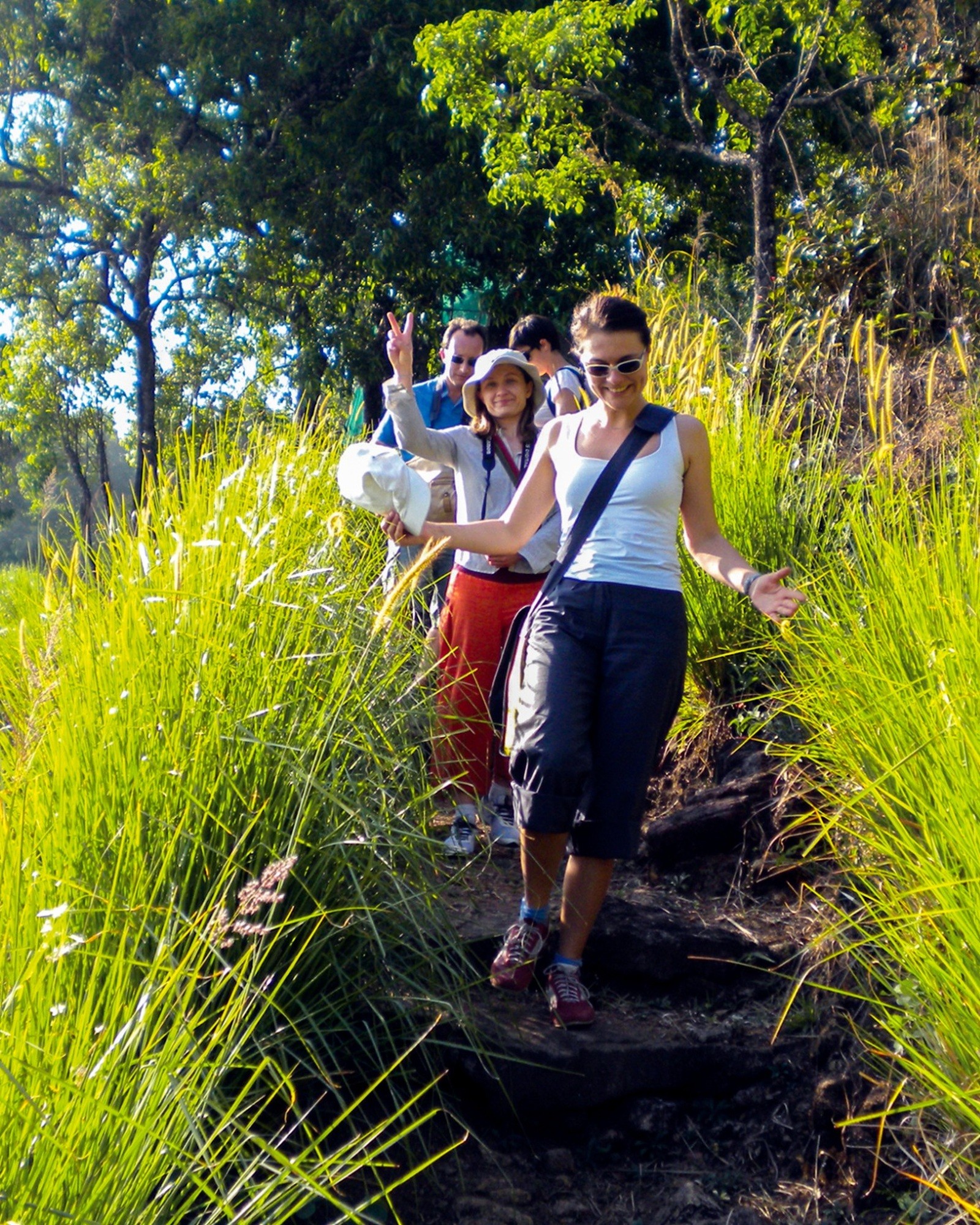 Guided Shola walk