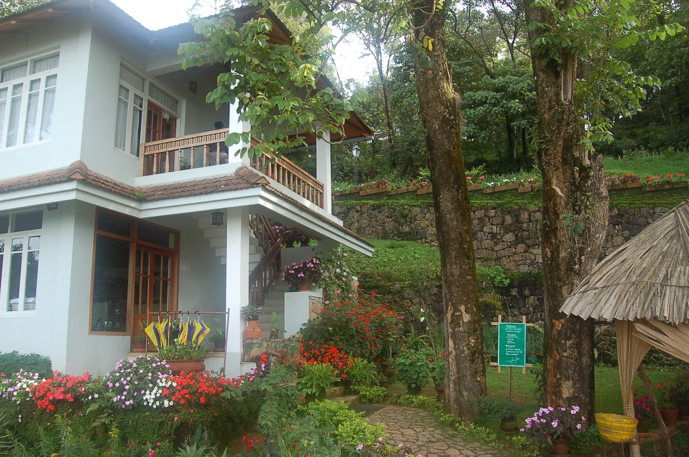 Early Blackberry Hills reception and spa area surrounded by greenery