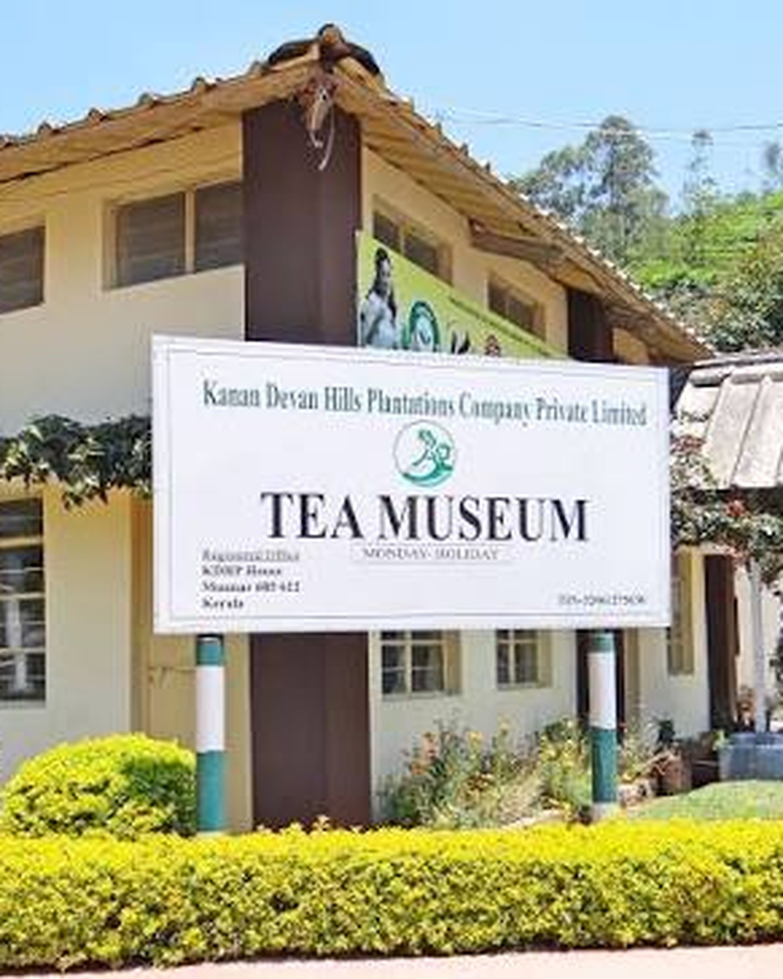 Tea museum and tea-making experience in Munnar