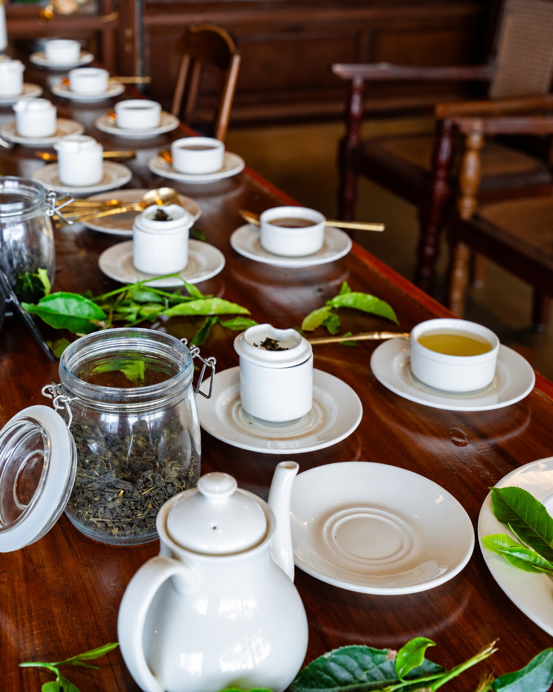 Tea tasting experience at Blackberry Hills Munnar